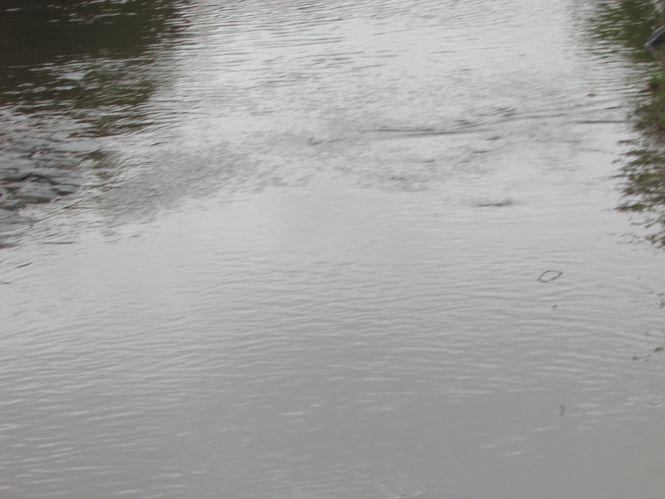 Про Козятин заговорили в Києві, фото №15 на сайті 20minut.ua