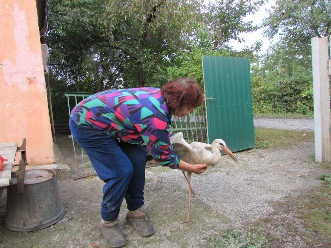 Про Козятин заговорили в Києві, фото №5 на сайті 20minut.ua