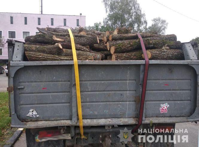 Новини Житомира - фото з Поліцейські виявили нелегальну лісопродукцію у двох районах Житомирщини Поліцейські виявили нелегальну лісопродукцію у двох районах Житомирщини, фото №2 на сайті 20minut.ua