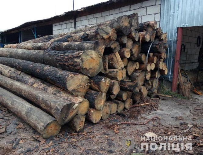 Новини Житомира - фото з Поліцейські виявили нелегальну лісопродукцію у двох районах Житомирщини Поліцейські виявили нелегальну лісопродукцію у двох районах Житомирщини, фото №1 на сайті 20minut.ua