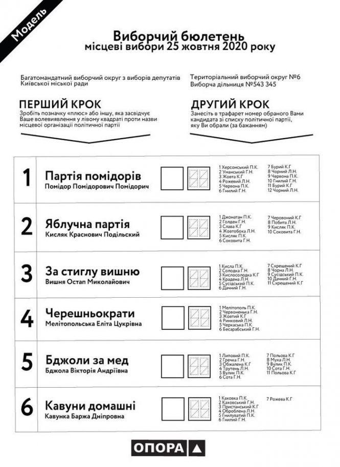 Місцеві вибори 2020: писати нуль перед номером кандидата чи ні? Як правильно заповнити бюлетень, фото №1 на сайті 20minut.ua