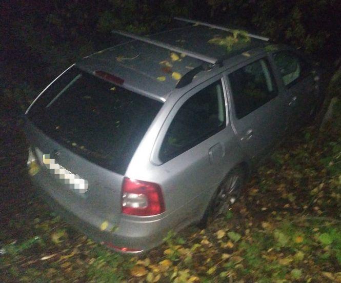 Під Козятином дерево впало на авто, що їхало дорогою. Водій загинув, фото №1 на сайті 20minut.ua