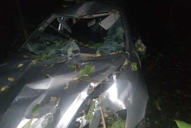 Новини Вінниці - фото з Важливе за вчора. Найцікавіші новини 9 жовтня, які ви могли пропустити Під Козятином дерево впало на авто, що їхало дорогою. Водій загинув