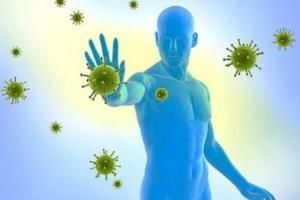 Як ніколи не хворіти: про імунітет простою мовою, фото №2 на сайті 20minut.ua