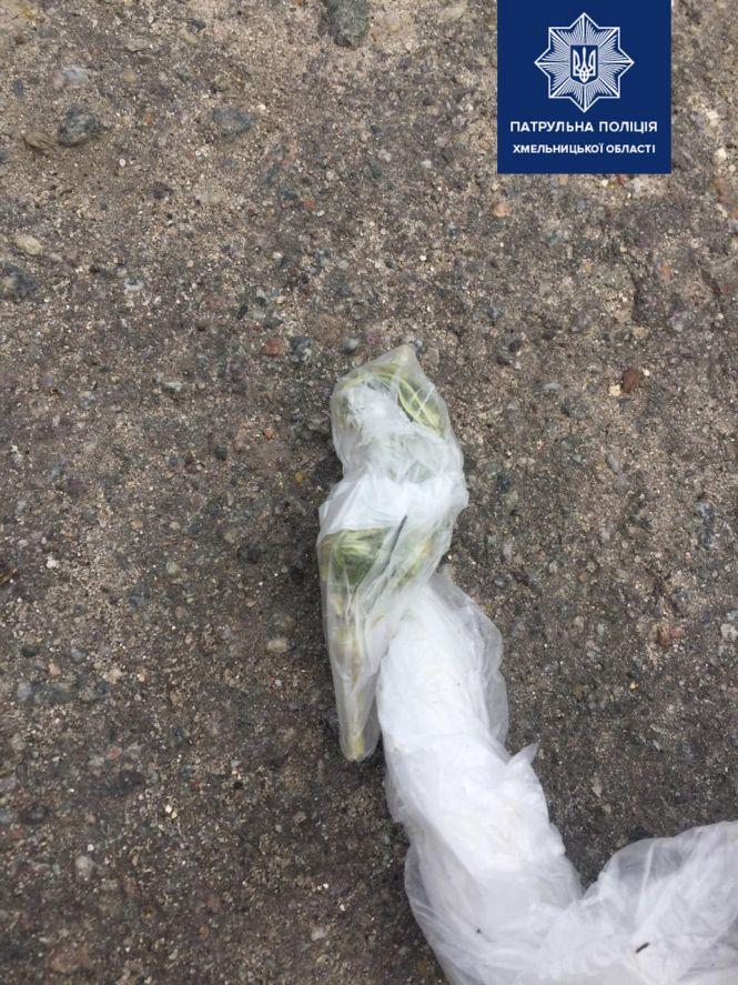 Від "порошку" до коноплі: у Хмельницькому за вихідні спіймали 7 людей з наркотиками, фото №1 на сайті vsim.ua