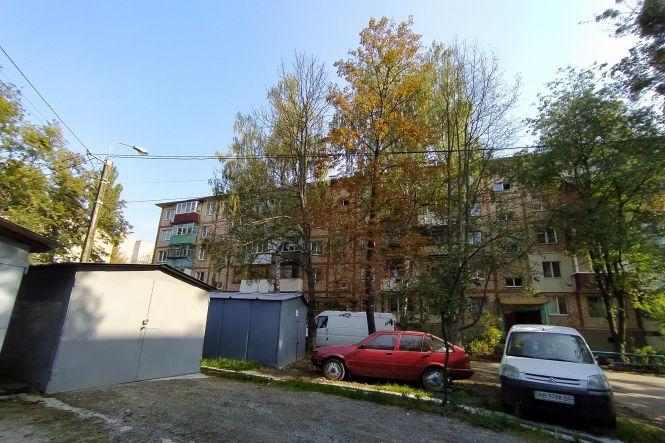 Хто обрізає дерева? На 600-річчя сухі каштани можуть звалитися на авто і людей, фото №1 на сайті 20minut.ua