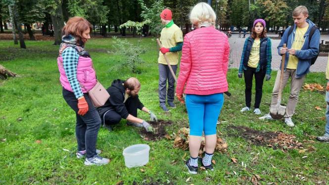 Новини Хмельницького - фото з У сквері Шевченка висадили 20 кущів сакури Нет описания.