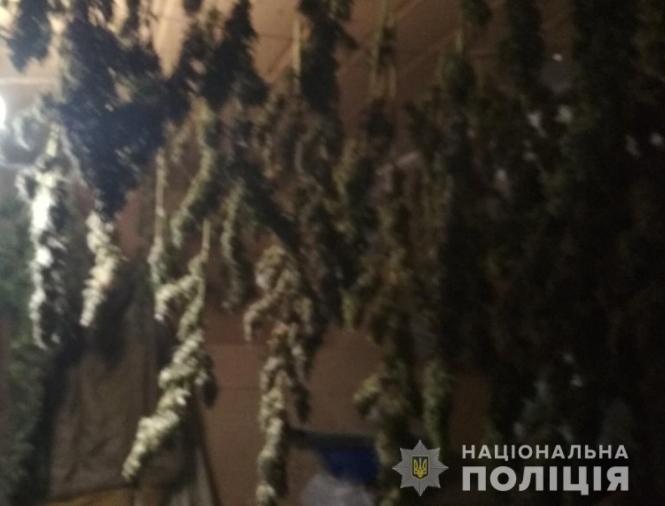 Житель Попільнянського району "заготовив" наркотиків на кілька десятків тисяч гривень, фото №1 на сайті 20minut.ua
