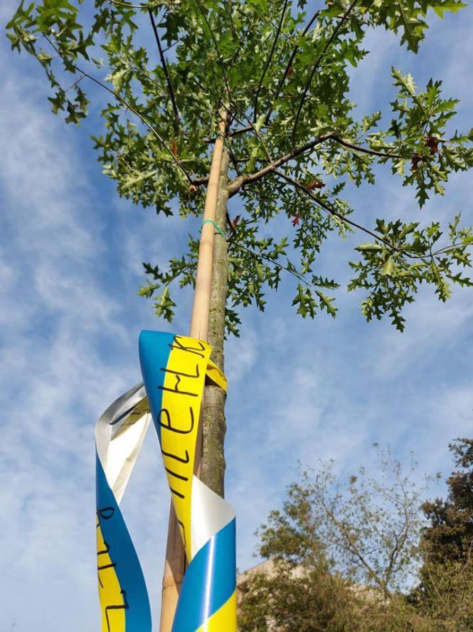 На Алеї Слави Героїв висадили 27 дубів на честь загиблих воїнів, фото №1 на сайті 20minut.ua