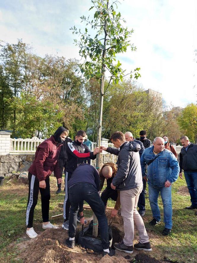 На Алеї Слави Героїв висадили 27 дубів на честь загиблих воїнів, фото №2 на сайті 20minut.ua