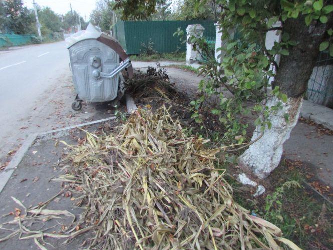 Новини Козятина - фото з Прогулянка Козятинщиною: ревучі корови, хаос у лісосмузі та темпи будівельників Прогулянка Козятинщиною: ревучі корови, хаос у лісосмузі та темпи будівельників, фото №2 на сайті 20minut.ua