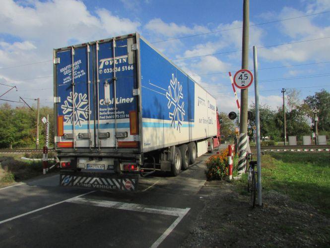 Новини Козятина - фото з Прогулянка Козятинщиною: ревучі корови, хаос у лісосмузі та темпи будівельників Прогулянка Козятинщиною: ревучі корови, хаос у лісосмузі та темпи будівельників, фото №9 на сайті 20minut.ua