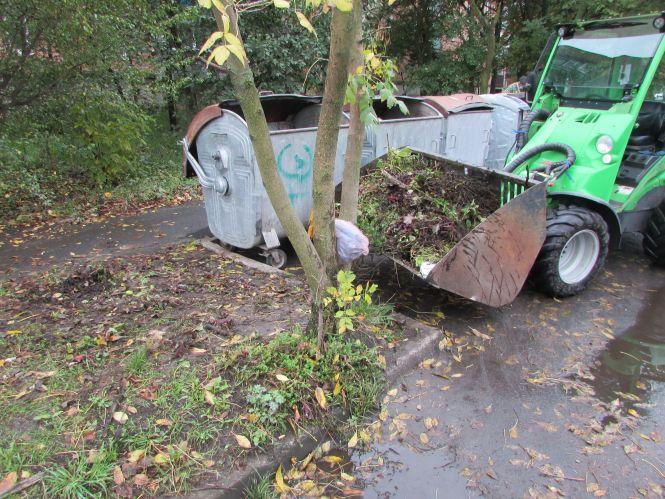 Новини Козятина - фото з Прогулянка Козятинщиною: ревучі корови, хаос у лісосмузі та темпи будівельників Прогулянка Козятинщиною: ревучі корови, хаос у лісосмузі та темпи будівельників, фото №1 на сайті 20minut.ua