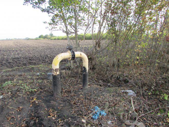 Новини Козятина - фото з Прогулянка Козятинщиною: ревучі корови, хаос у лісосмузі та темпи будівельників Прогулянка Козятинщиною: ревучі корови, хаос у лісосмузі та темпи будівельників, фото №8 на сайті 20minut.ua