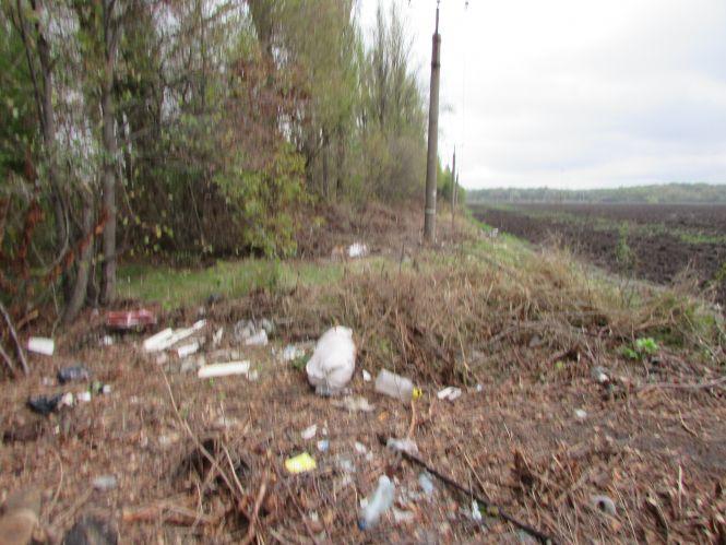 Новини Козятина - фото з Прогулянка Козятинщиною: ревучі корови, хаос у лісосмузі та темпи будівельників Прогулянка Козятинщиною: ревучі корови, хаос у лісосмузі та темпи будівельників, фото №3 на сайті 20minut.ua