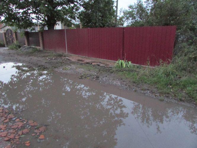 Новини Козятина - фото з Прогулянка Козятинщиною: ревучі корови, хаос у лісосмузі та темпи будівельників Прогулянка Козятинщиною: ревучі корови, хаос у лісосмузі та темпи будівельників, фото №4 на сайті 20minut.ua