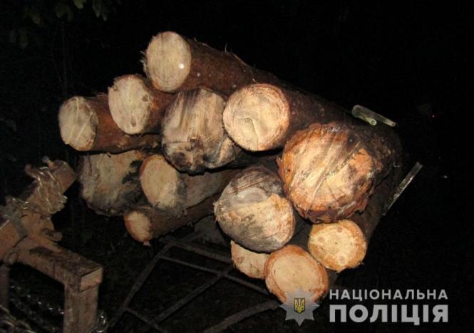 На Житомирщині поліцейські зупинили два незареєстровані трактори з нелегальним лісом, фото №3 на сайті 20minut.ua