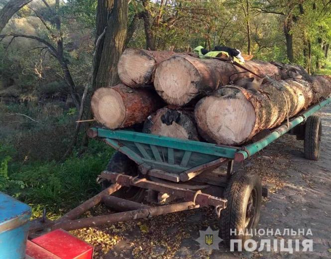 На Житомирщині поліцейські зупинили два незареєстровані трактори з нелегальним лісом, фото №1 на сайті 20minut.ua