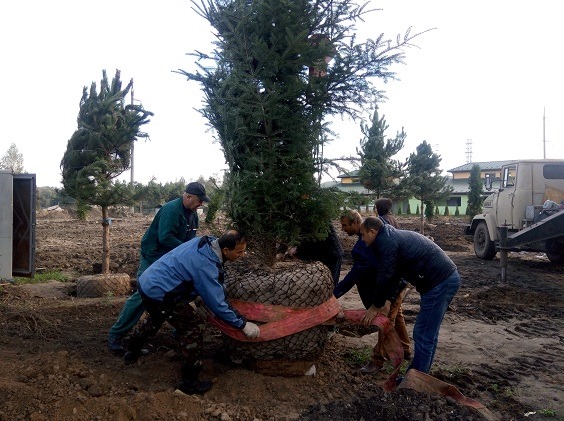 У Вінницькому зоопарку «поселять» величезних роботизованих динозаврів, фото №1 на сайті 20minut.ua