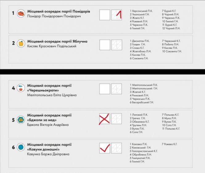 Новини Вінниці - фото з Вибори-2020: про що треба знати перед голосуванням у Вінниці? Вибори-2020: про що треба знати перед голосуванням у Вінниці?, фото №3 на сайті 20minut.ua
