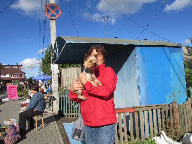 Прогулянка Козятинщиною: зупинка-парасолька, калюжі та небезпечні тополі, фото №13 на сайті 20minut.ua