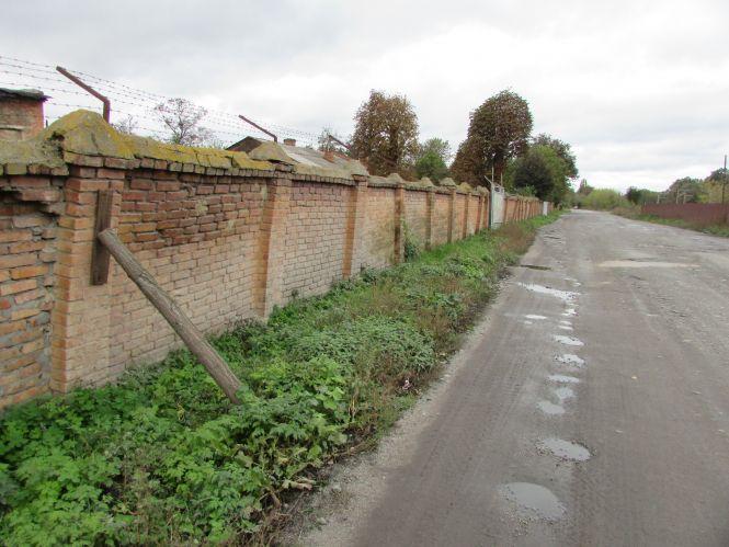 Прогулянка Козятинщиною: зупинка-парасолька, калюжі та небезпечні тополі, фото №9 на сайті 20minut.ua