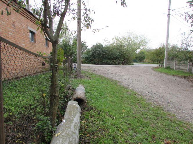 Прогулянка Козятинщиною: зупинка-парасолька, калюжі та небезпечні тополі, фото №2 на сайті 20minut.ua