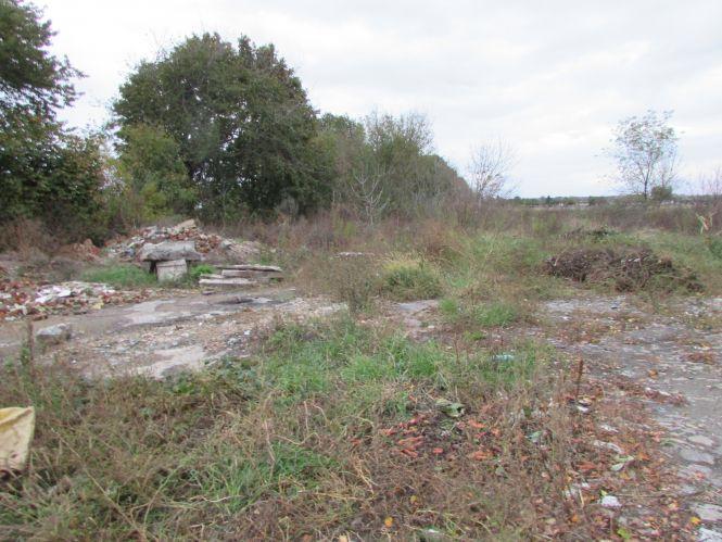 Прогулянка Козятинщиною: зупинка-парасолька, калюжі та небезпечні тополі, фото №12 на сайті 20minut.ua