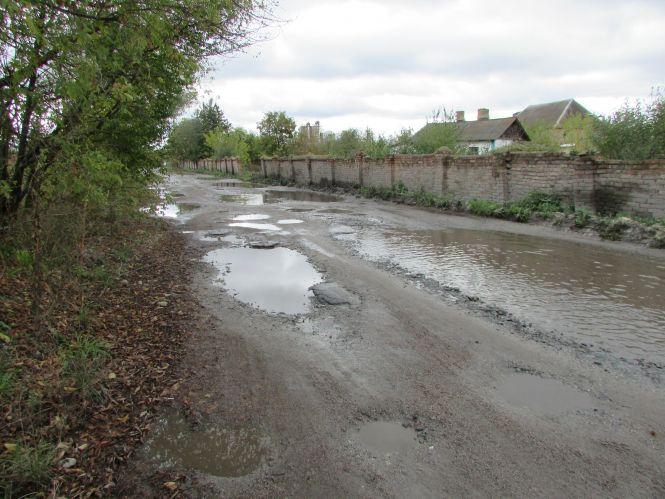 Прогулянка Козятинщиною: зупинка-парасолька, калюжі та небезпечні тополі, фото №7 на сайті 20minut.ua