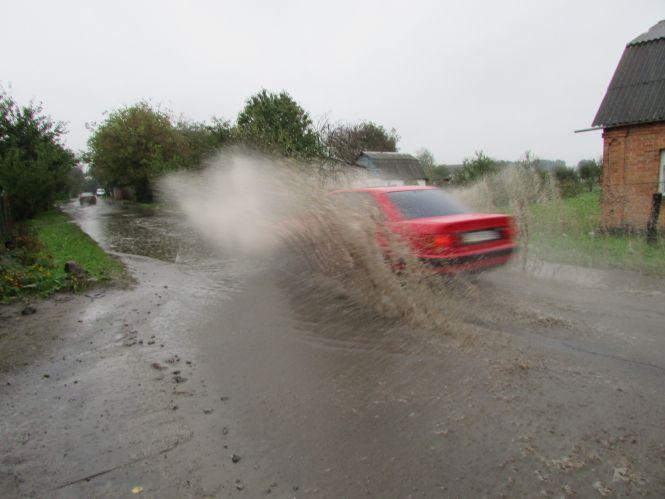 Прогулянка Козятинщиною: зупинка-парасолька, калюжі та небезпечні тополі, фото №3 на сайті 20minut.ua