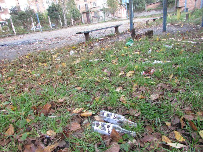 Прогулянка Козятинщиною: зупинка-парасолька, калюжі та небезпечні тополі, фото №5 на сайті 20minut.ua