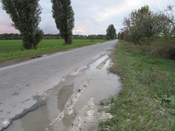 Прогулянка Козятинщиною: зупинка-парасолька, калюжі та небезпечні тополі, фото №6 на сайті 20minut.ua