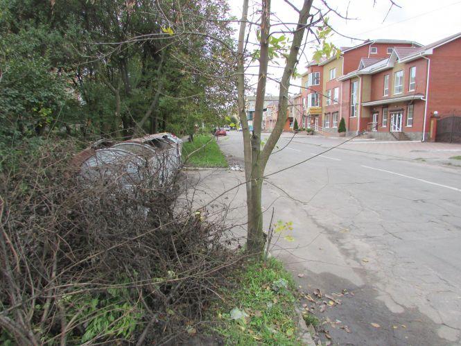 Прогулянка Козятинщиною: зупинка-парасолька, калюжі та небезпечні тополі, фото №10 на сайті 20minut.ua