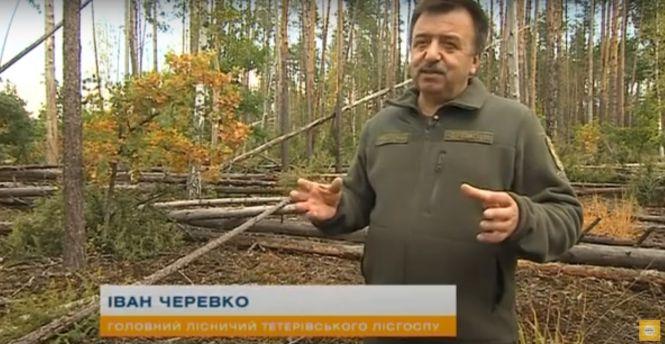 Новини Вінниці - фото з «Ранок з Інтером»: чим небезпечна вирубка лісів в Україні? (Пресслужба «Інтер») «Ранок з Інтером»: чим небезпечна вирубка лісів в Україні? (Пресслужба «Інтер»), фото №3 на сайті 20minut.ua