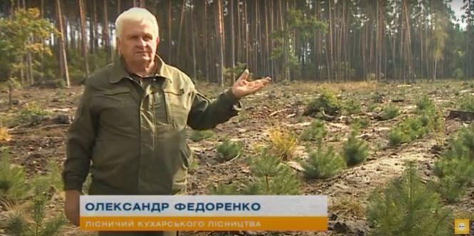 Новини Вінниці - фото з «Ранок з Інтером»: чим небезпечна вирубка лісів в Україні? (Пресслужба «Інтер») «Ранок з Інтером»: чим небезпечна вирубка лісів в Україні? (Пресслужба «Інтер»), фото №2 на сайті 20minut.ua