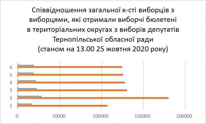 Станом на 13.00 на Тернопільщині проголосувало майже 19% виборців: ТВК, фото №2 на сайті 20minut.ua