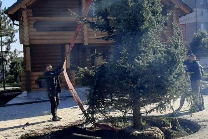 Новини Вінниці - фото з Ялинка, зодіаки, резиденція: Подільський зоопарк вже готують до новорічних свят Ялинка, зодіаки, резиденція: Подільський зоопарк вже готують до новорічних свят, фото №1 на сайті 20minut.ua