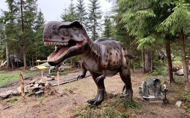 Новини Вінниці - фото з Ялинка, зодіаки, резиденція: Подільський зоопарк вже готують до новорічних свят Ялинка, зодіаки, резиденція: Подільський зоопарк вже готують до новорічних свят, фото №4 на сайті 20minut.ua