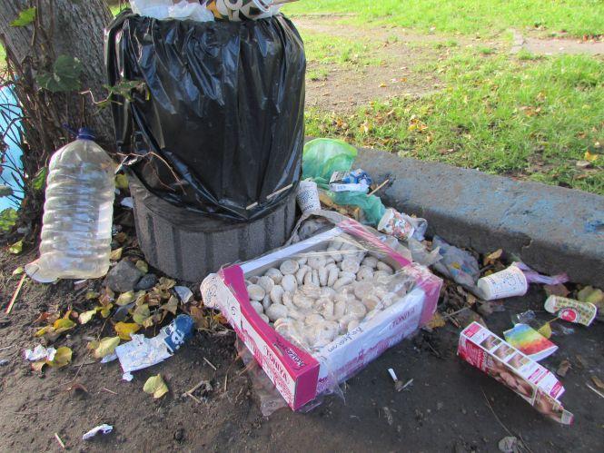 Прогулянка Козятинщиною: голубиний рай, загадкові люки та нові ліхтарі, фото №2 на сайті 20minut.ua