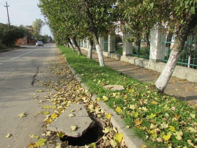 Прогулянка Козятинщиною: голубиний рай, загадкові люки та нові ліхтарі, фото №8 на сайті 20minut.ua