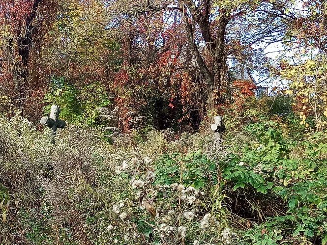 Старовинні козятинські кладовища. Частина 2. Російський цвинтар, фото №3 на сайті 20minut.ua