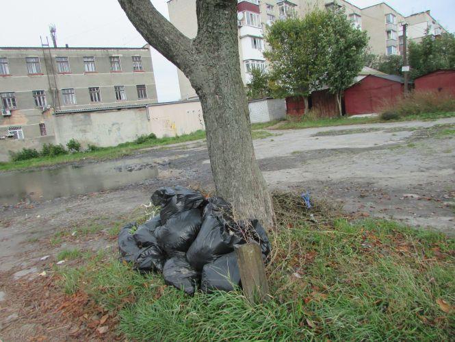 Прогулянка Козятинщиною: голубиний рай, загадкові люки та нові ліхтарі, фото №4 на сайті 20minut.ua