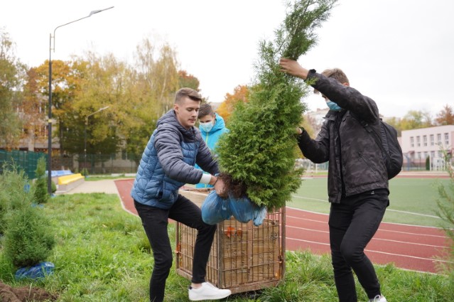 Новини Вінниці - фото з Акція «Зелена хвиля». школярі у Вінниці висаджували туї, кущі самшиту та ялинки Акція «Зелена хвиля». школярі у Вінниці висаджували туї, кущі самшиту та ялинки, фото №1 на сайті 20minut.ua