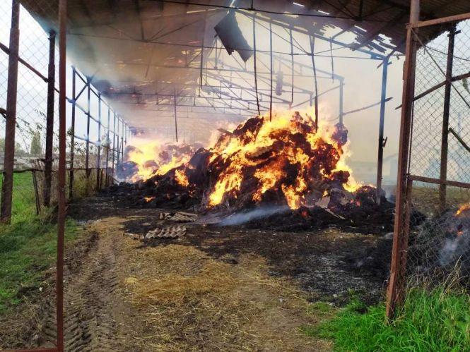 На Любарщині вогнеборці ліквідували загоряння сінника та запобігли перекиданню полум’я на корівники, фото №2 на сайті 20minut.ua