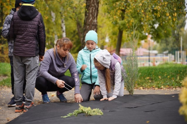 Новини Вінниці - фото з Акція «Зелена хвиля». школярі у Вінниці висаджували туї, кущі самшиту та ялинки Акція «Зелена хвиля». школярі у Вінниці висаджували туї, кущі самшиту та ялинки, фото №2 на сайті 20minut.ua