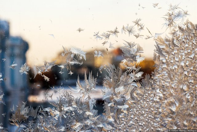 Морозний день   - фото 365059