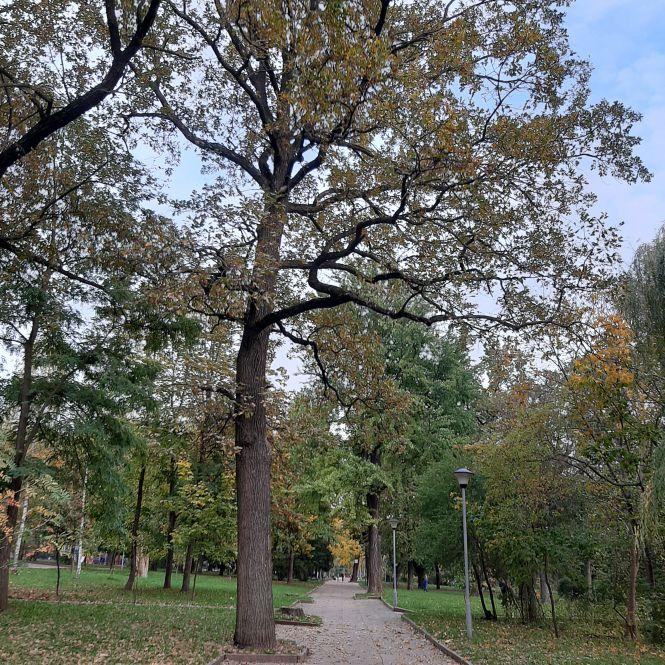 Новини Житомира - фото з Цікаві місця Житомира: парк імені Гагаріна Цікаві місця Житомира: парк імені Гагаріна, фото №3 на сайті 20minut.ua