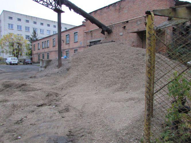 Новини Козятина - фото з Прогулянка Козятинщиною: Білоцерківський міст, пес «гуморист» та богатир Дамір Прогулянка Козятинщиною: Білоцерківський міст, пес «гуморист» та богатир Дамір, фото №11 на сайті 20minut.ua