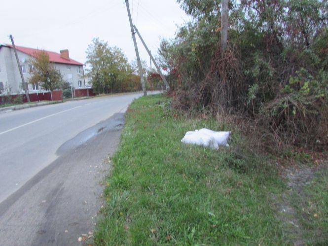 Новини Козятина - фото з Прогулянка Козятинщиною: Білоцерківський міст, пес «гуморист» та богатир Дамір Прогулянка Козятинщиною: Білоцерківський міст, пес «гуморист» та богатир Дамір, фото №7 на сайті 20minut.ua