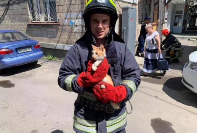 Новини Вінниці - фото з День пам'яті тварин. Добірка чуттєвих історій від жорстокого поводження до хепі-енду День пам'яті тварин. Добірка чуттєвих історій від жорстокого поводження до хепі-енду, фото №2 на сайті 20minut.ua